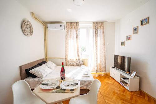 Apartman Todor Kraljevo stan na dan smestaj u strogom centru grada sa terasom i pogledom privatni apartmani