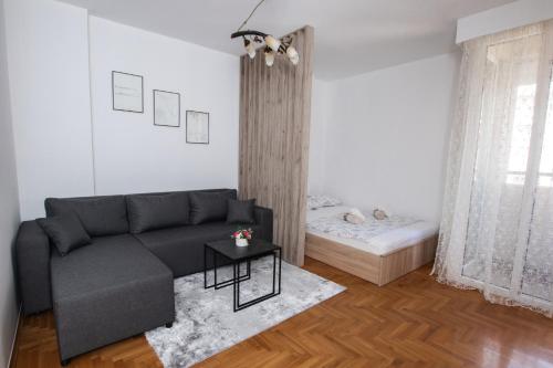 Apartman Vas dom 2 Kraljevo stan na dan smestaj apartmani centar